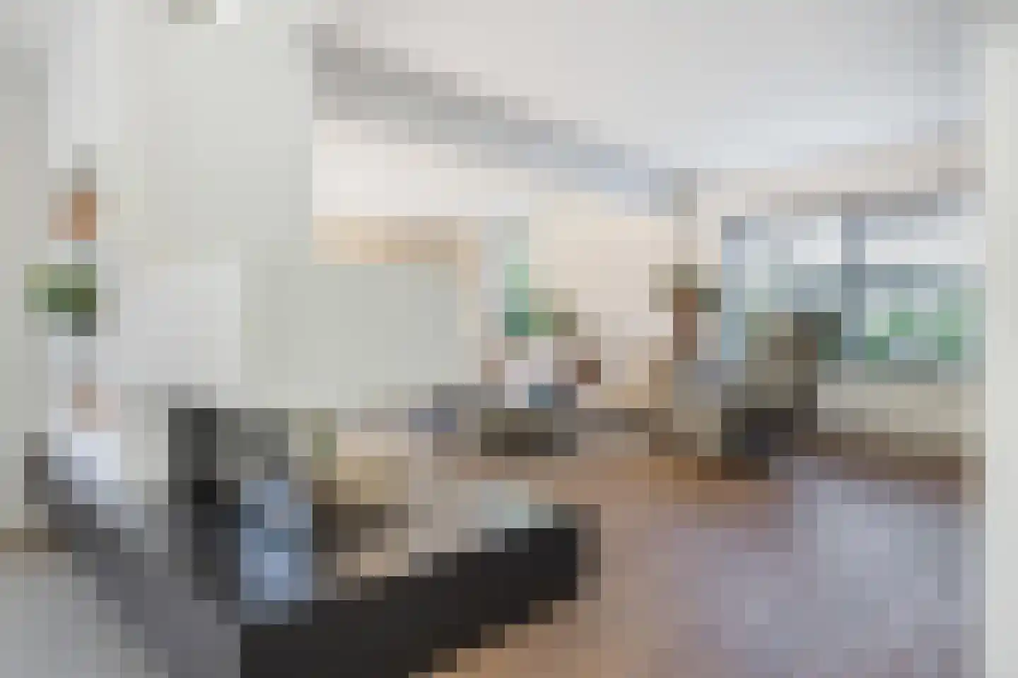 't Haantje 4 Bavel thumbnail 20