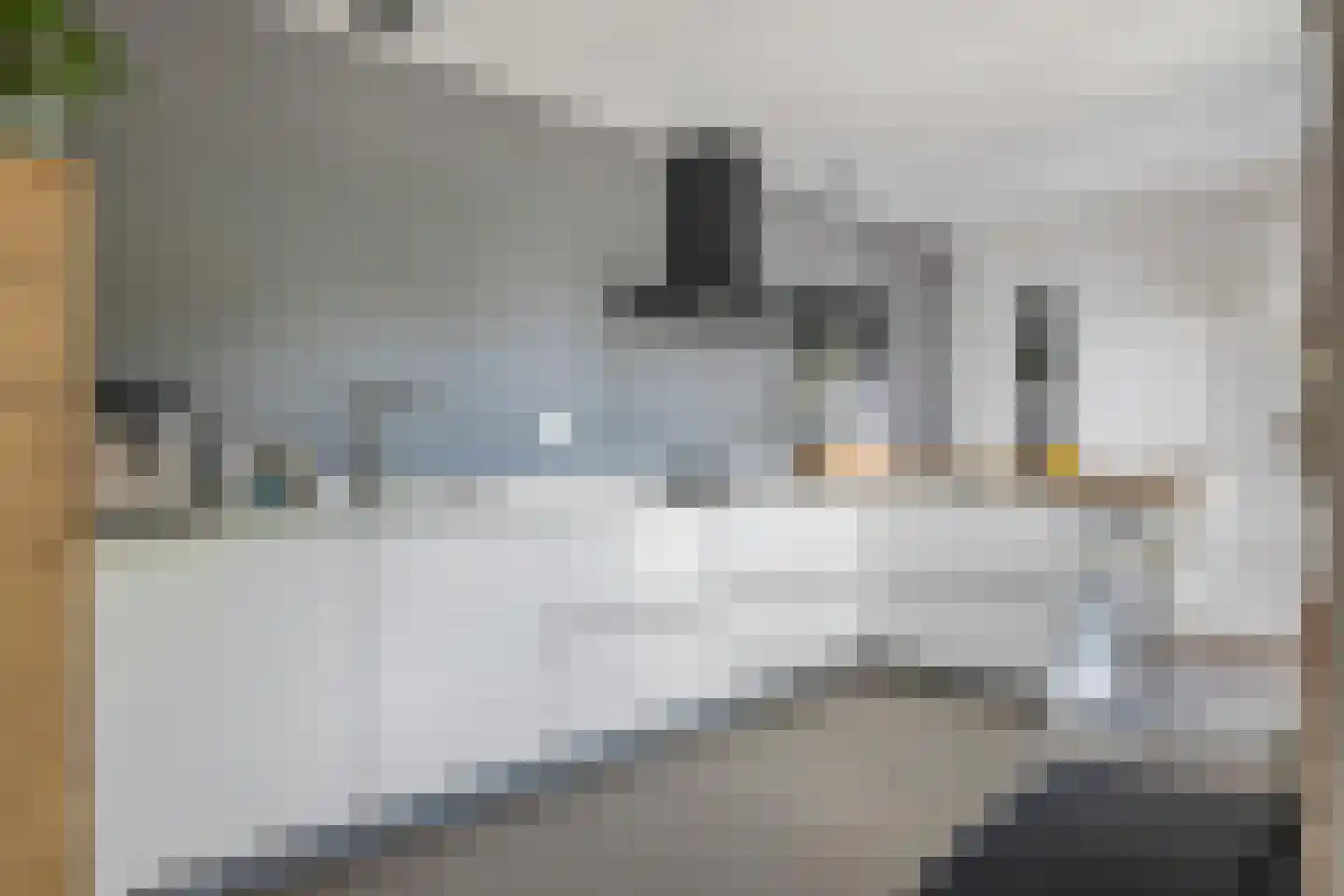 't Haantje 4 Bavel thumbnail 27