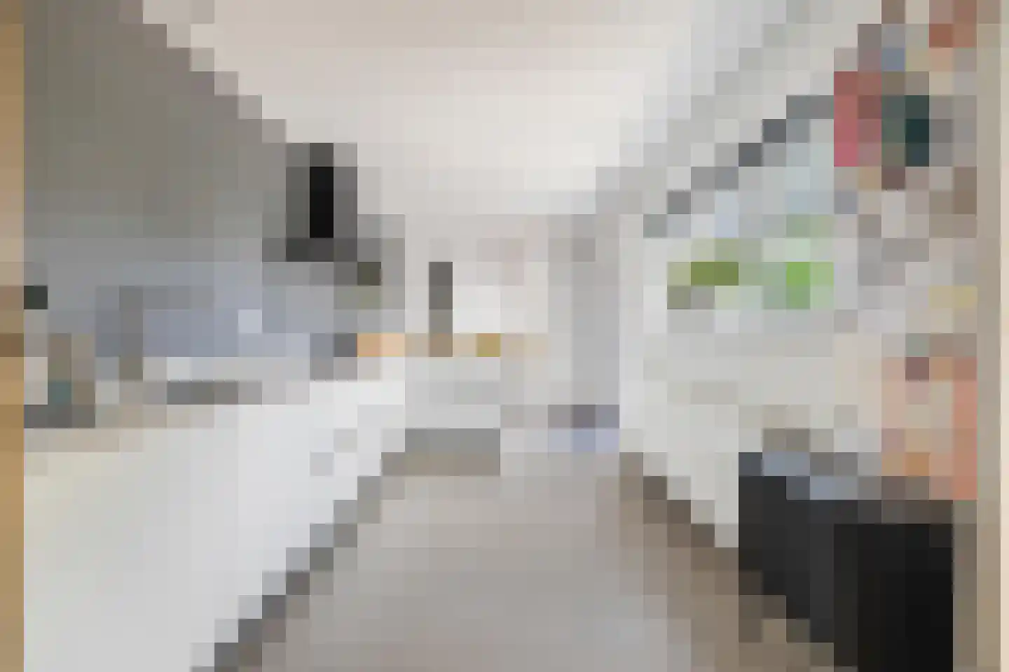 't Haantje 4 Bavel thumbnail 29