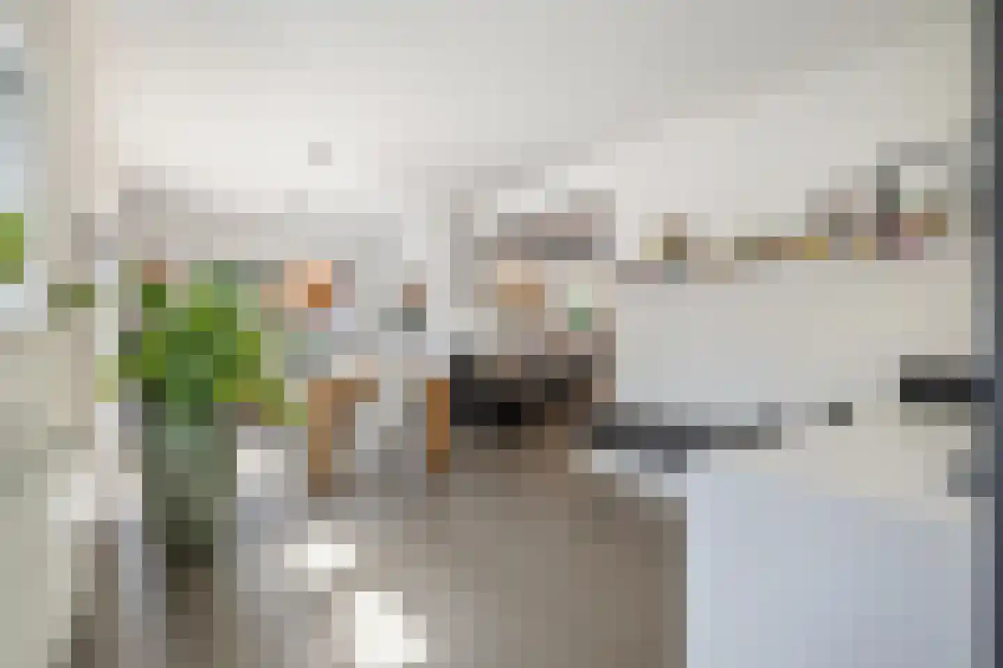 't Haantje 4 Bavel foto 3