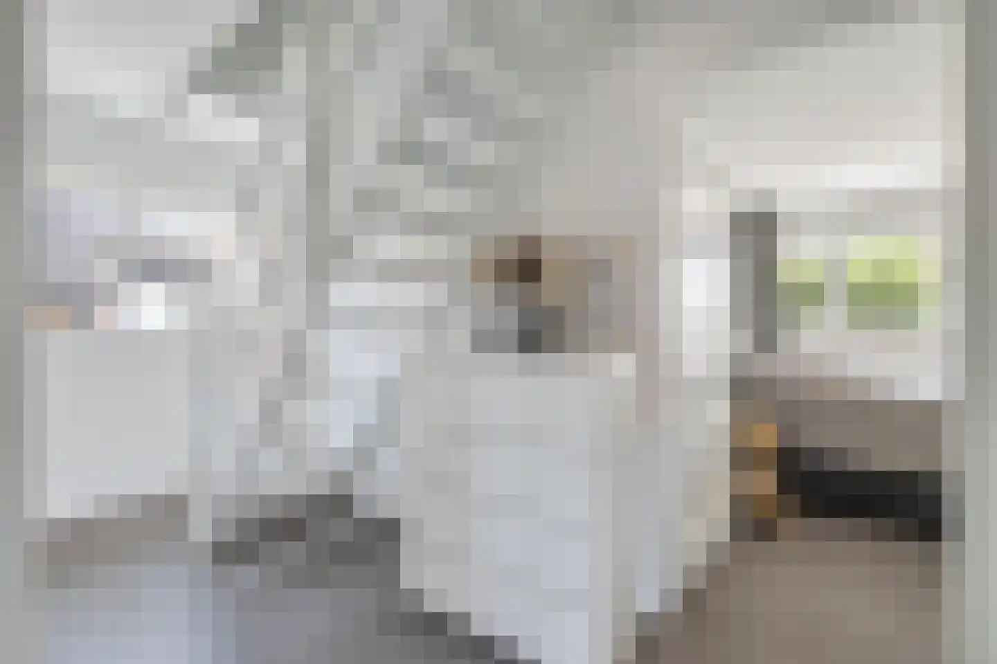 't Haantje 4 Bavel thumbnail 30
