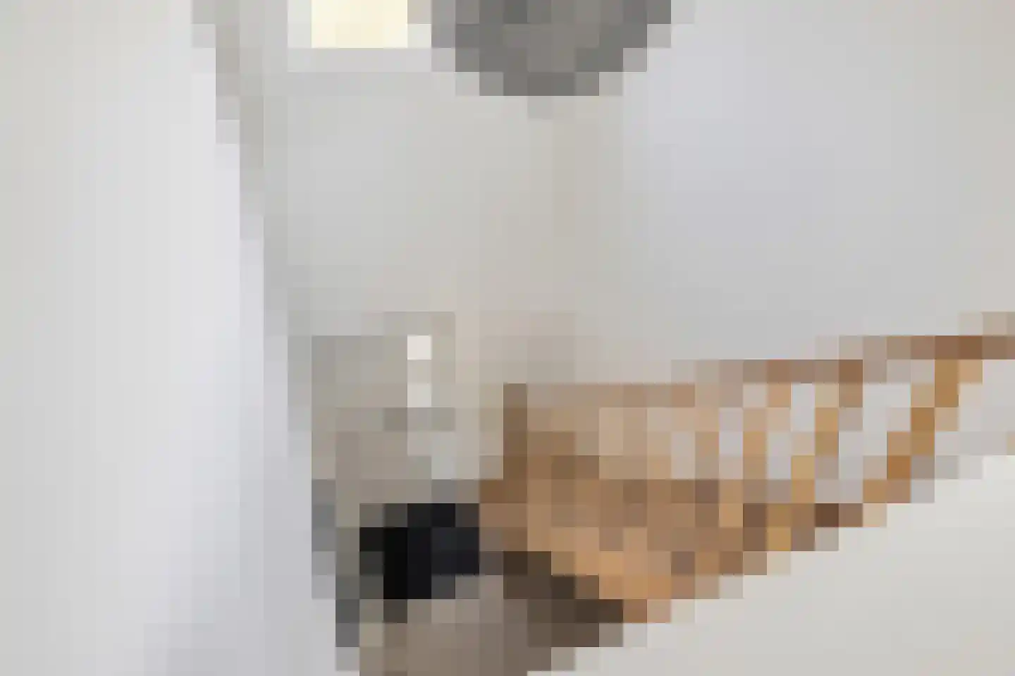 't Haantje 4 Bavel thumbnail 31