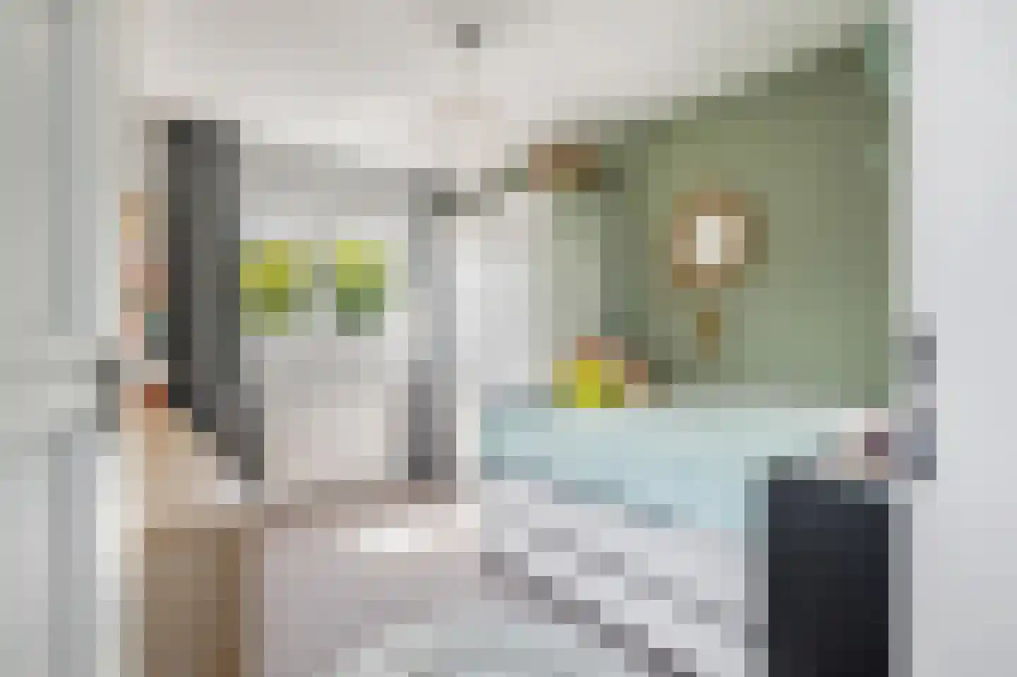 't Haantje 4 Bavel thumbnail 36