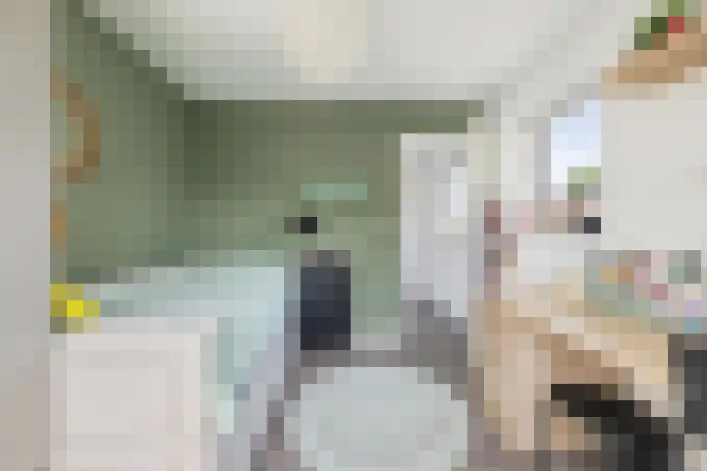 't Haantje 4 Bavel thumbnail 38
