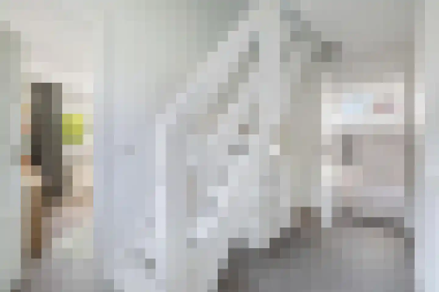 't Haantje 4 Bavel thumbnail 4