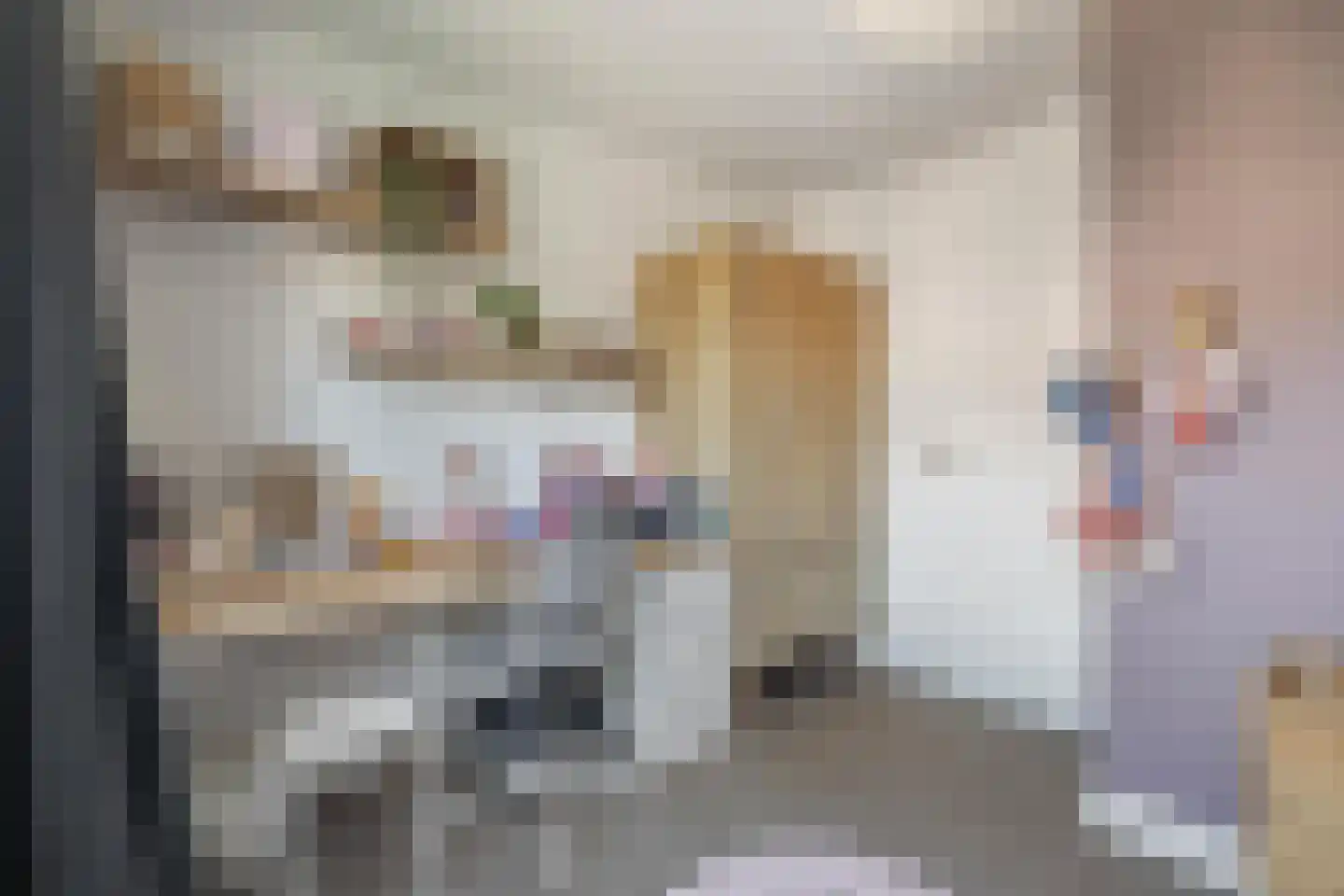 't Haantje 4 Bavel thumbnail 41