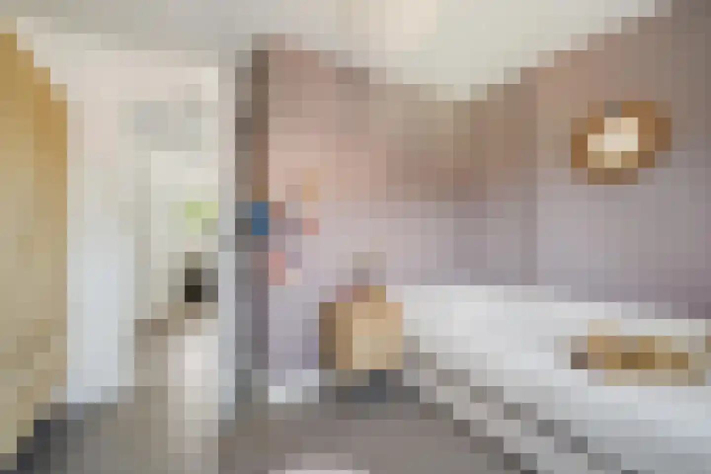't Haantje 4 Bavel thumbnail 42
