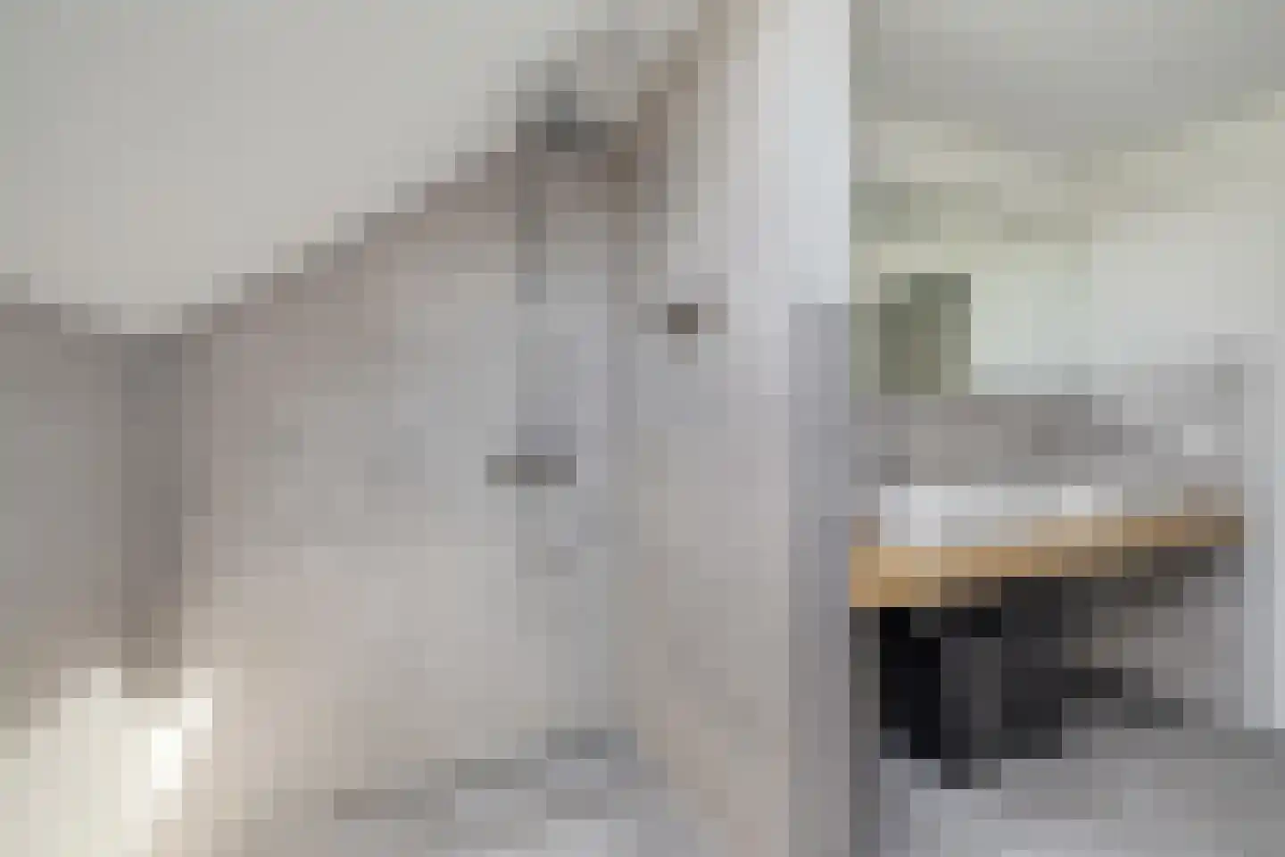 't Haantje 4 Bavel thumbnail 45