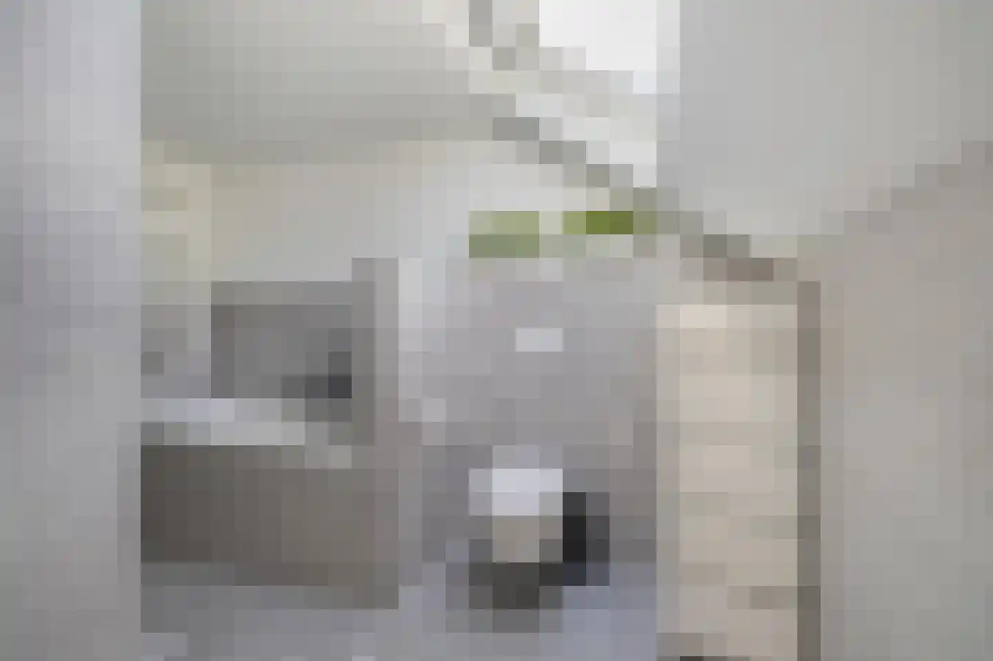 't Haantje 4 Bavel thumbnail 47