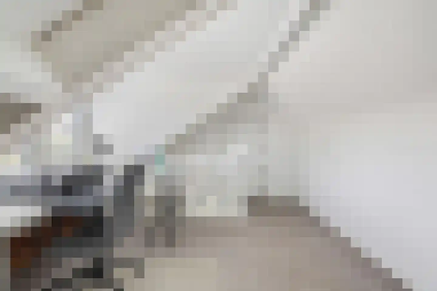 't Haantje 4 Bavel thumbnail 49
