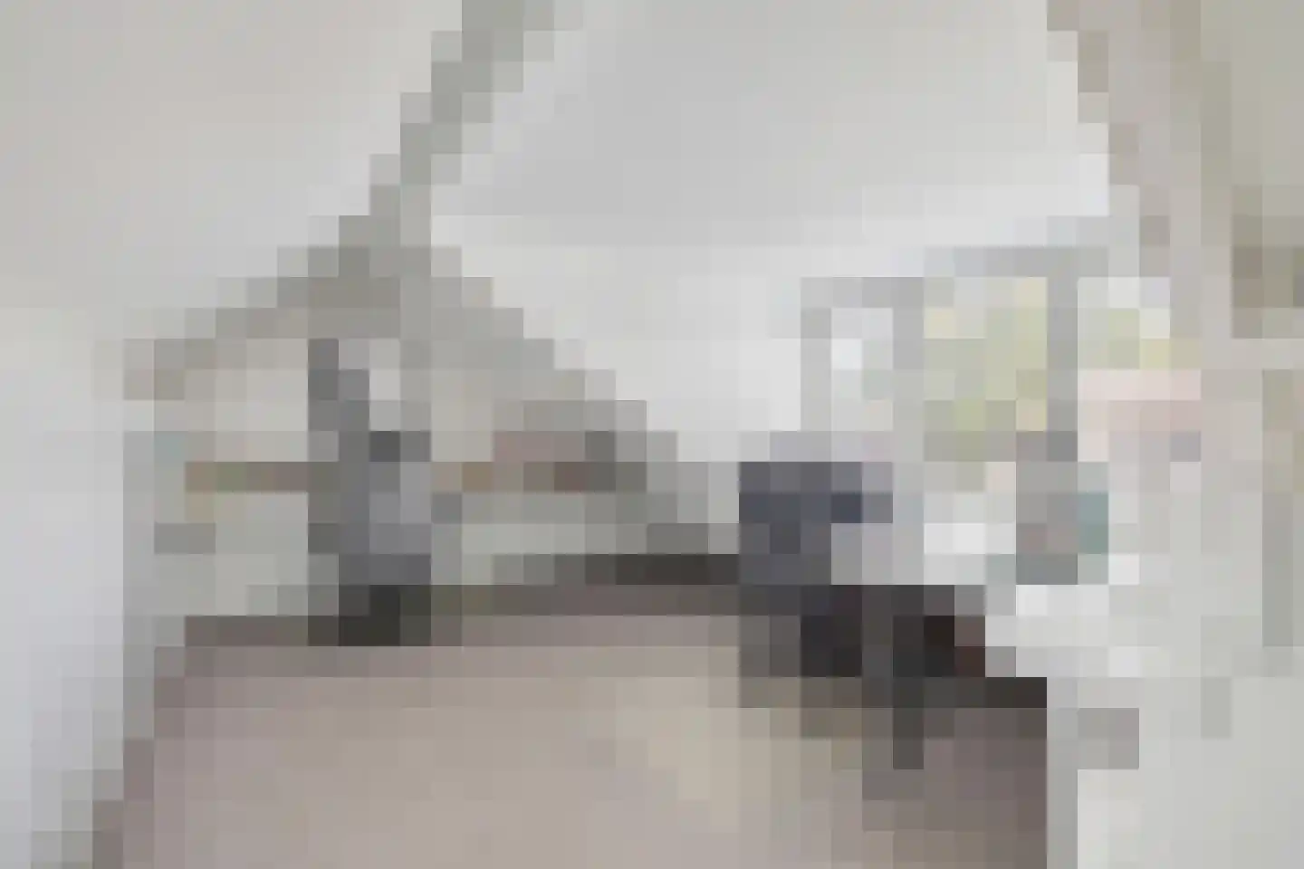 't Haantje 4 Bavel thumbnail 50