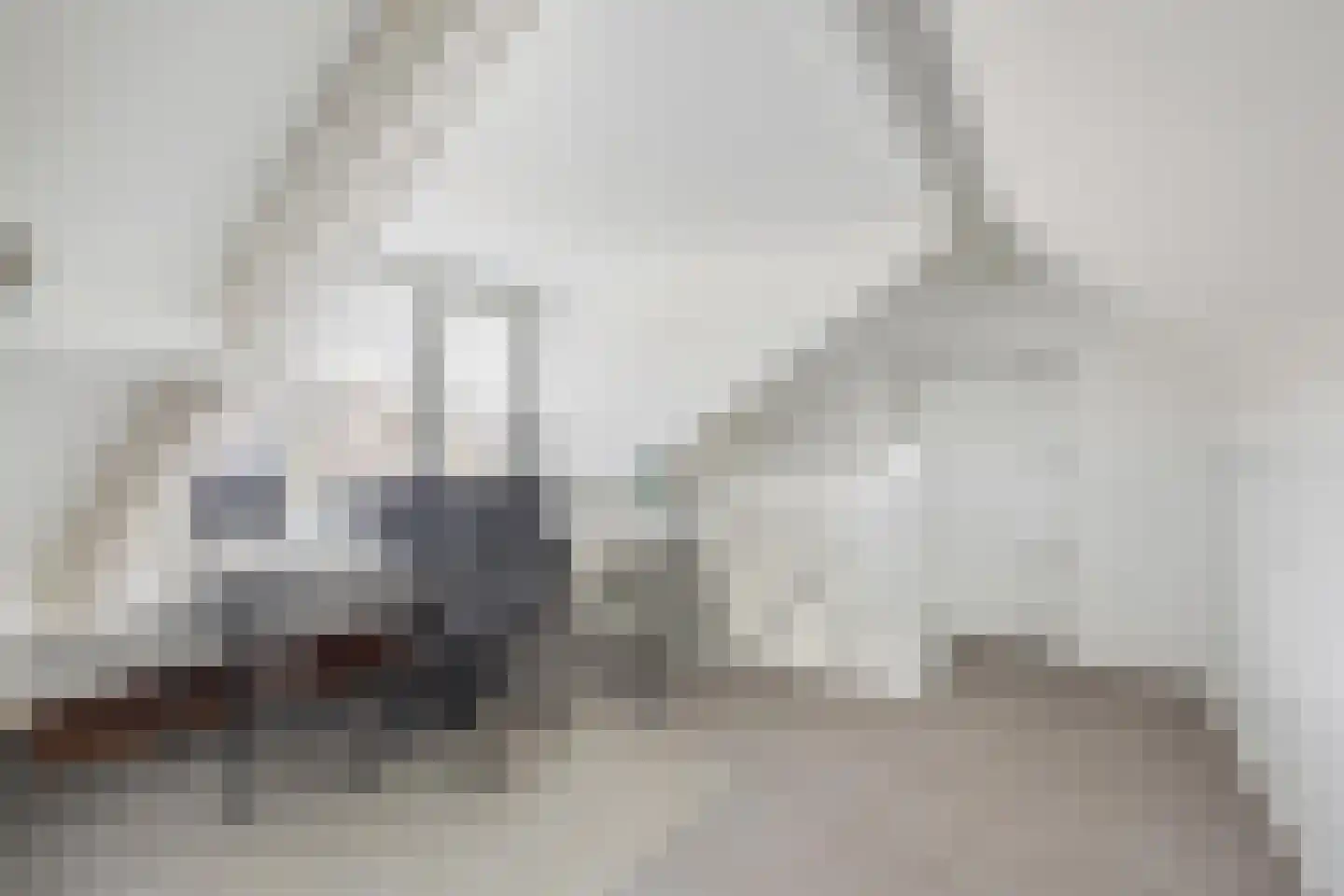 't Haantje 4 Bavel thumbnail 51