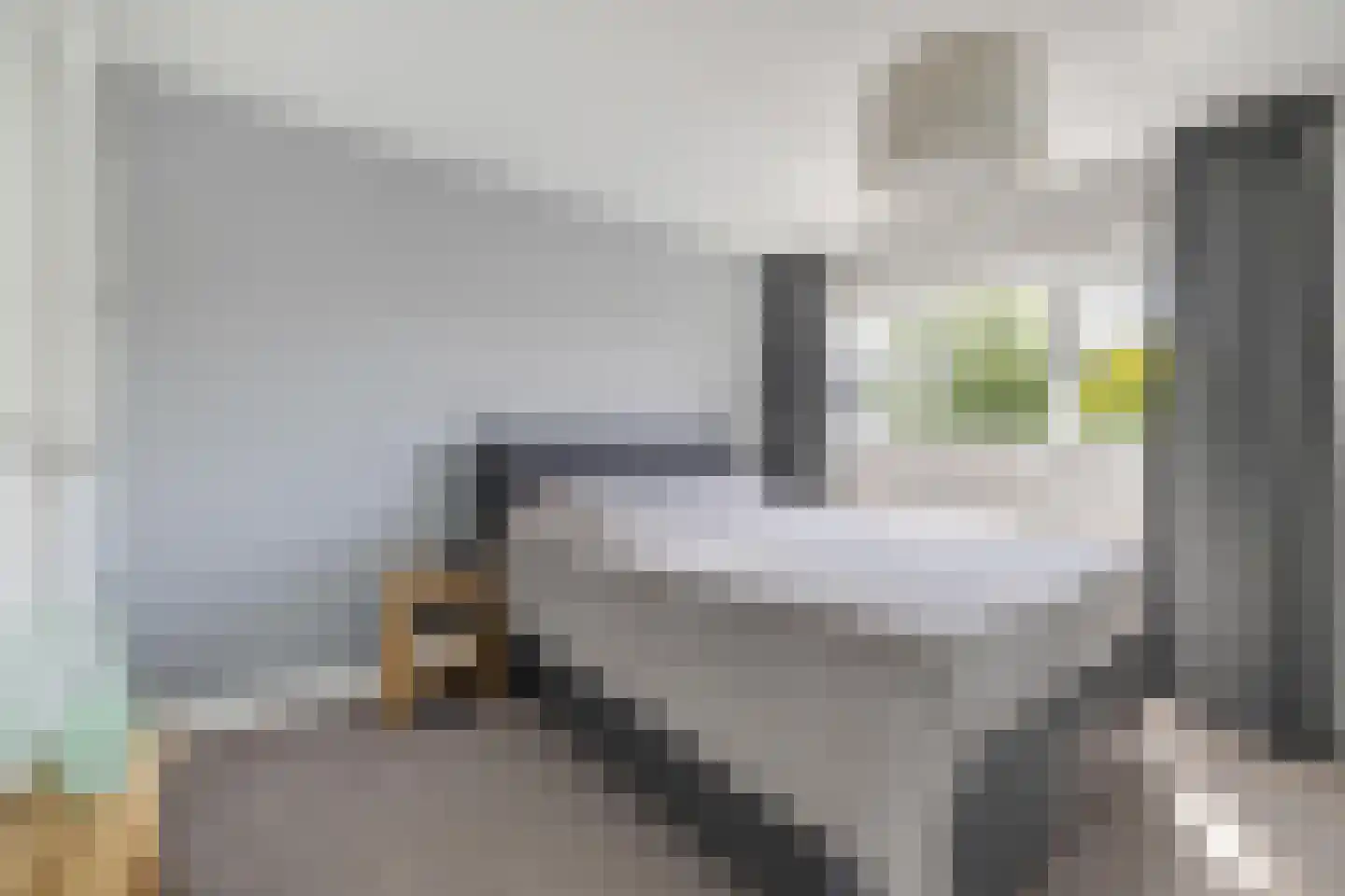 't Haantje 4 Bavel thumbnail 6