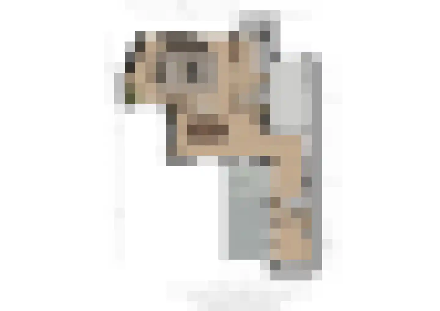 't Haantje 4 Bavel thumbnail 60