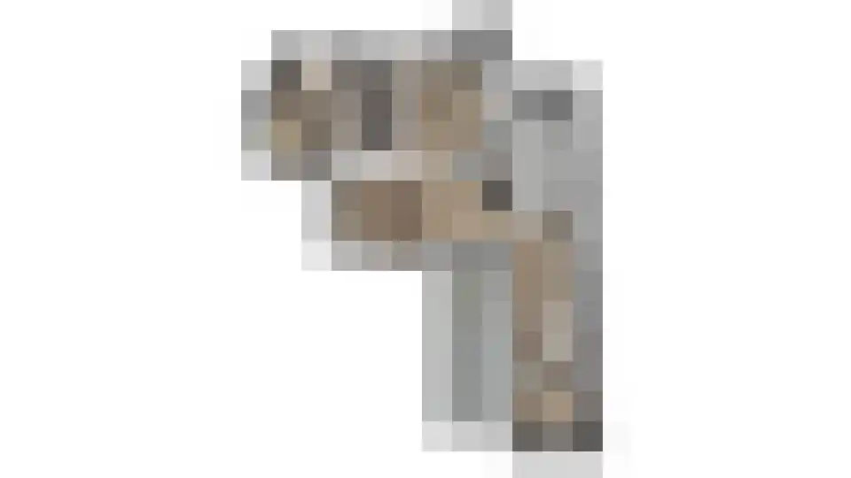 't Haantje 4 Bavel thumbnail 61
