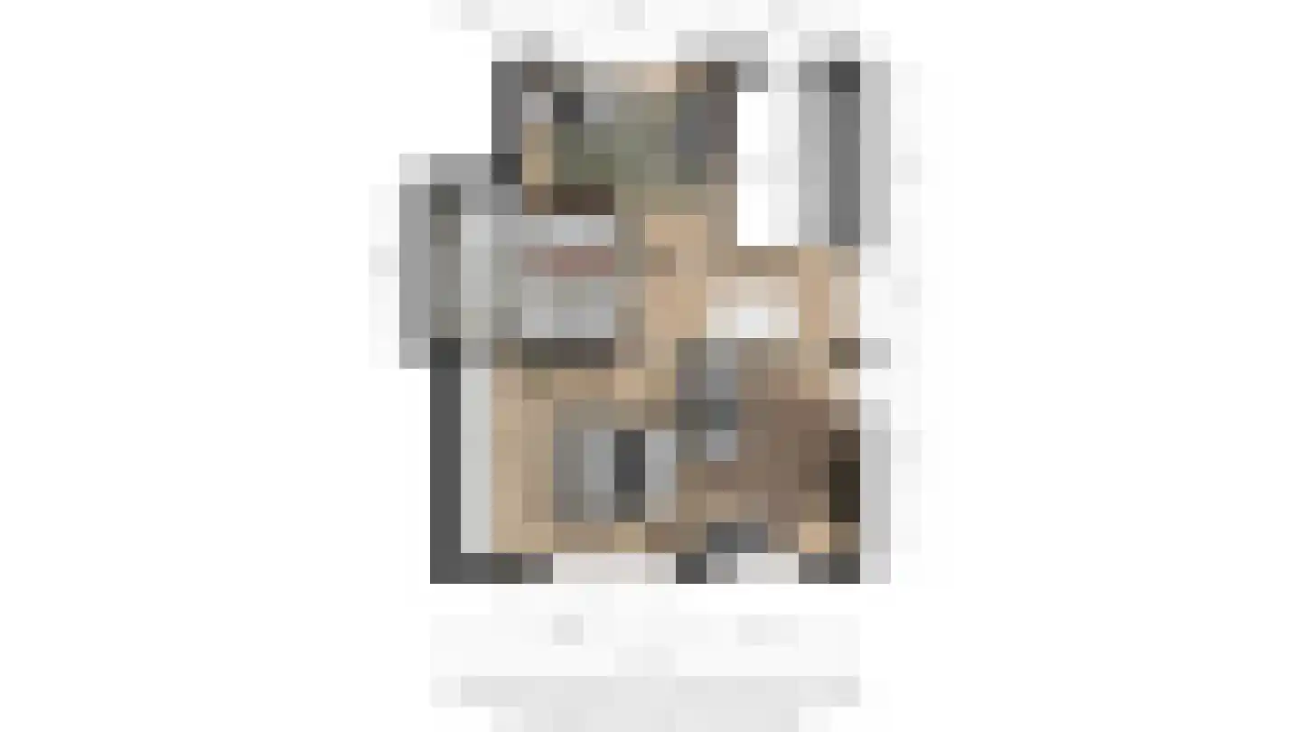 't Haantje 4 Bavel thumbnail 62