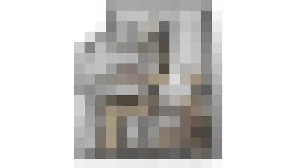 't Haantje 4 Bavel thumbnail 63