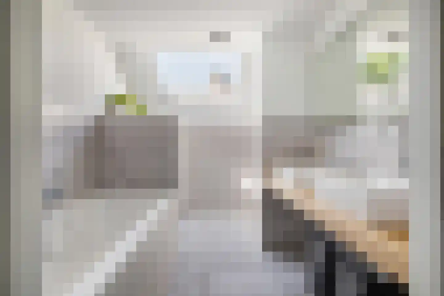 't Haantje 4 Bavel thumbnail 7