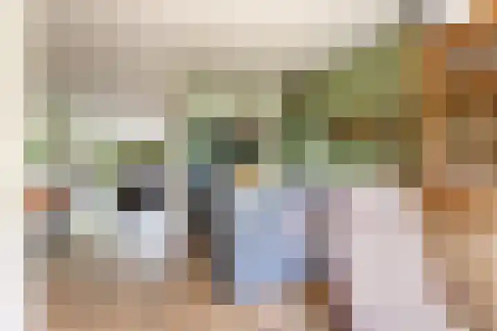 't Haantje 6 Werkhoven thumbnail 13