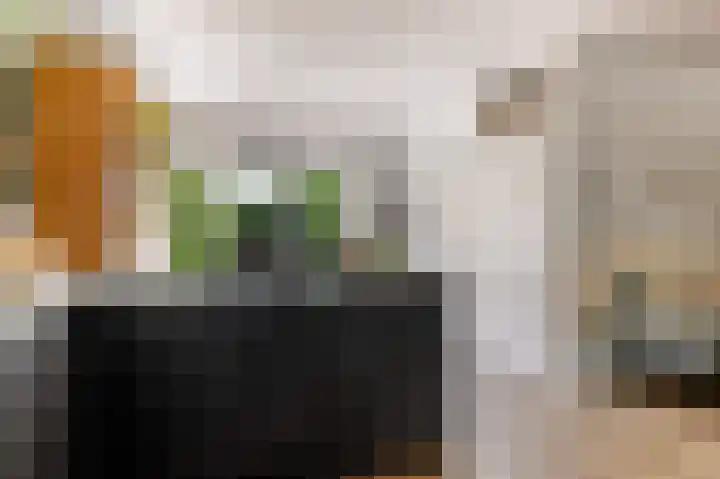 't Haantje 6 Werkhoven thumbnail 14