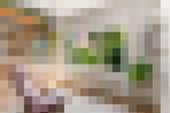 't Haantje 6 Werkhoven thumbnail 15