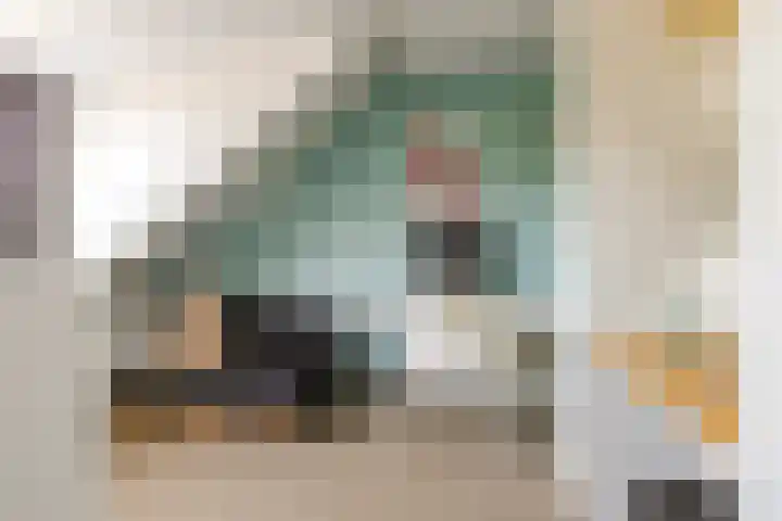 't Haantje 6 Werkhoven thumbnail 19