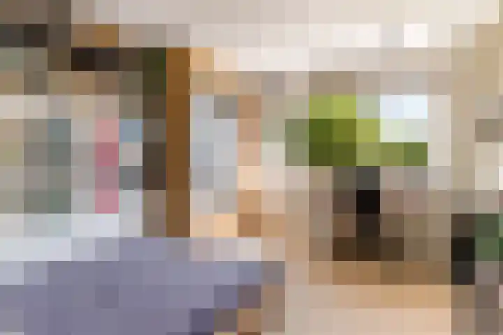 't Haantje 6 Werkhoven thumbnail 22