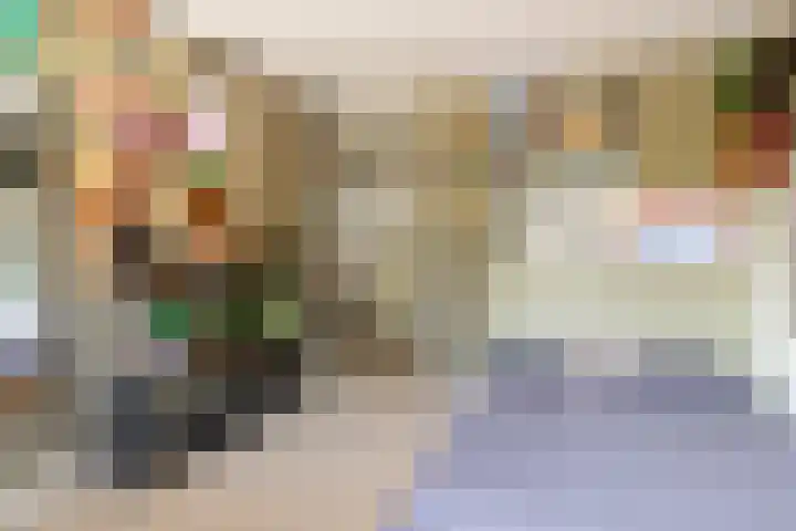 't Haantje 6 Werkhoven thumbnail 23