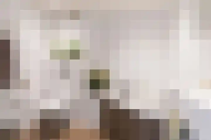 't Haantje 6 Werkhoven thumbnail 26