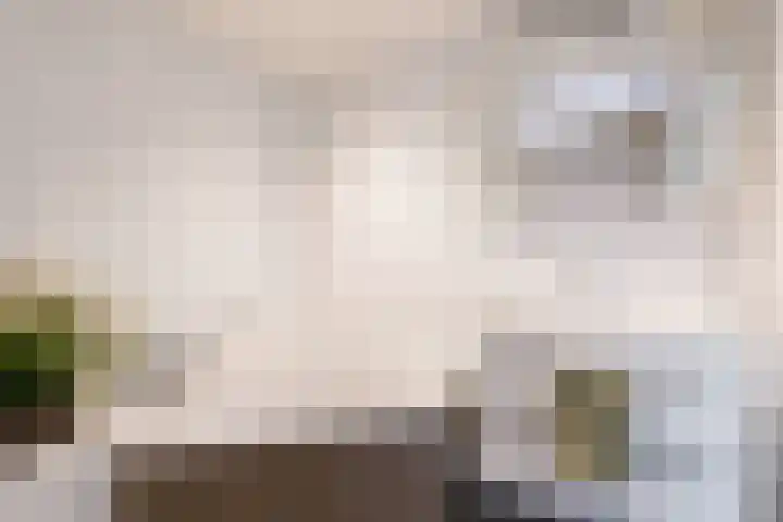 't Haantje 6 Werkhoven thumbnail 27