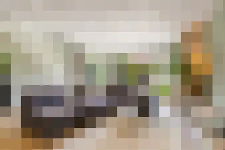 't Haantje 6 Werkhoven foto 3