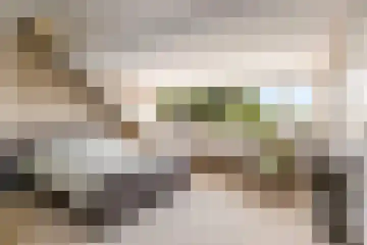 't Haantje 6 Werkhoven thumbnail 31