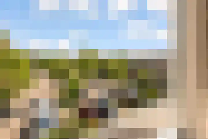 't Haantje 6 Werkhoven thumbnail 33
