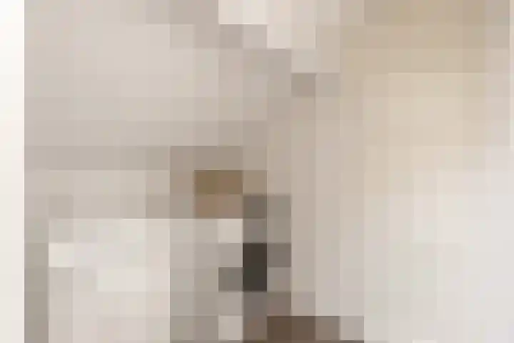't Haantje 6 Werkhoven thumbnail 35