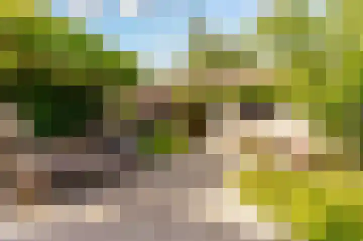 't Haantje 6 Werkhoven thumbnail 37