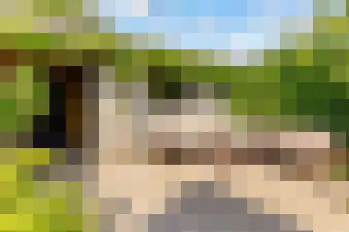 't Haantje 6 Werkhoven thumbnail 39
