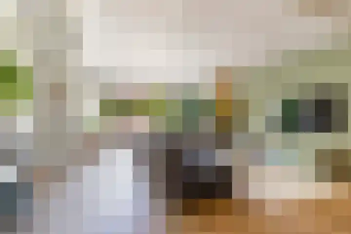 't Haantje 6 Werkhoven thumbnail 4