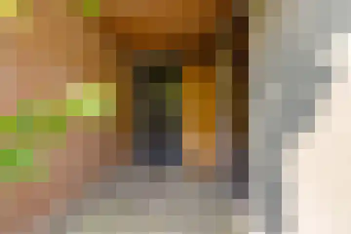 't Haantje 6 Werkhoven thumbnail 40