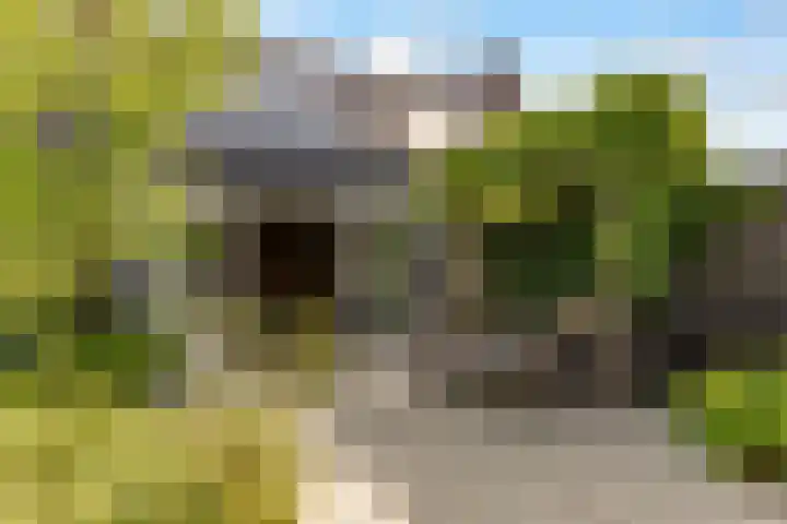 't Haantje 6 Werkhoven thumbnail 41