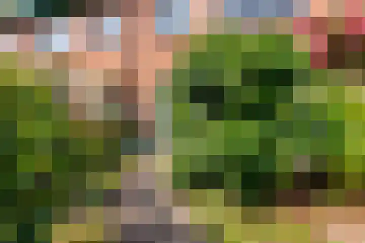 't Haantje 6 Werkhoven thumbnail 42
