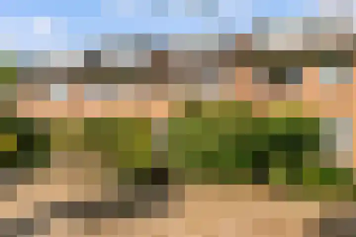 't Haantje 6 Werkhoven thumbnail 43