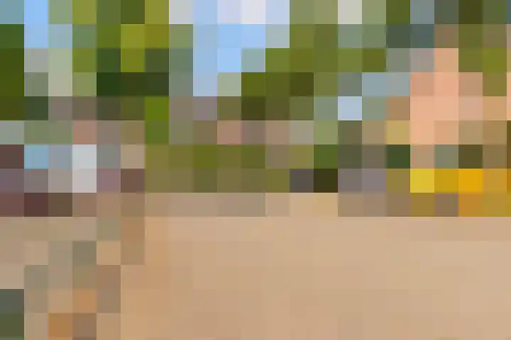 't Haantje 6 Werkhoven thumbnail 45