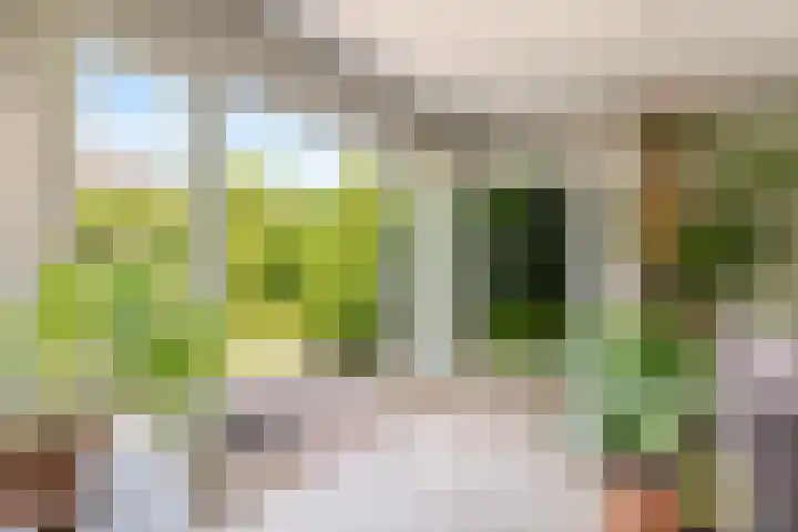 't Haantje 6 Werkhoven thumbnail 5