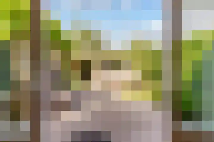 't Haantje 6 Werkhoven thumbnail 6