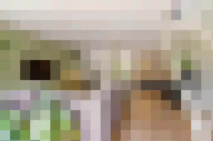 't Haantje 6 Werkhoven thumbnail 7