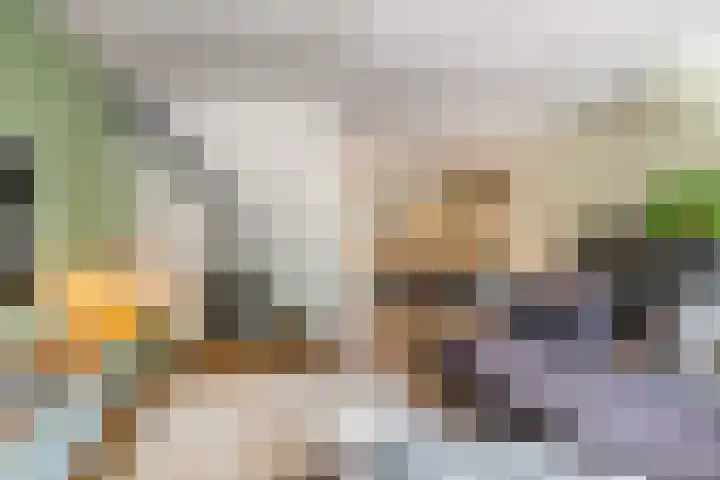 't Haantje 6 Werkhoven thumbnail 8