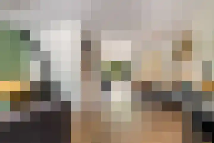 't Haantje 6 Werkhoven thumbnail 9