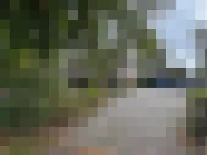 't Haantje 61 't Haantje