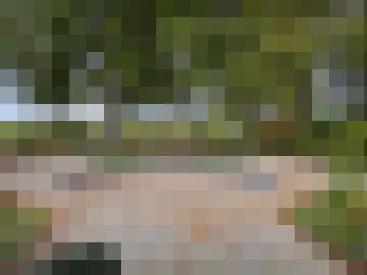 't Haantje 61 't Haantje thumbnail 10