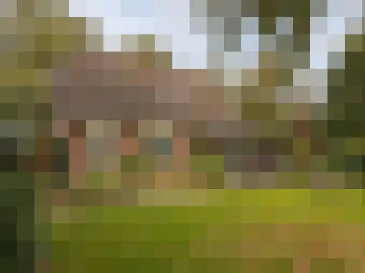 't Haantje 61 't Haantje thumbnail 12